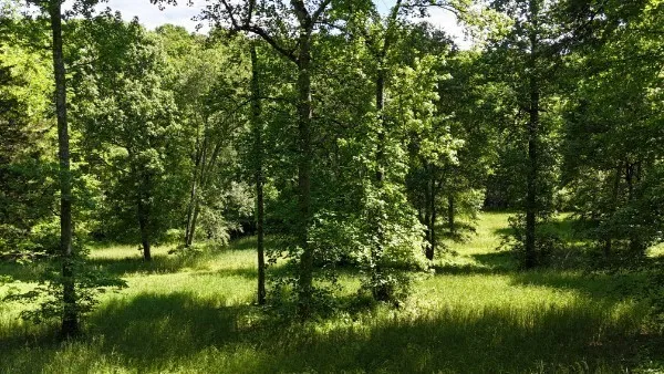 201 Post Rd Waverly, TN 37185