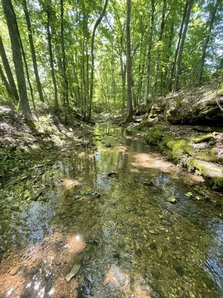 201 Post Rd Waverly, TN 37185