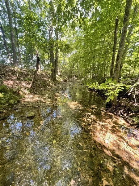 201 Post Rd Waverly, TN 37185