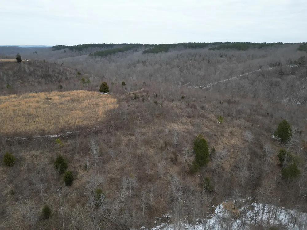 365 Twin Pines Overlook Lobelville, TN 37097