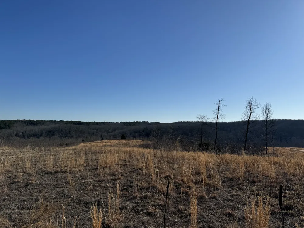 365 Twin Pines Overlook Lobelville, TN 37097