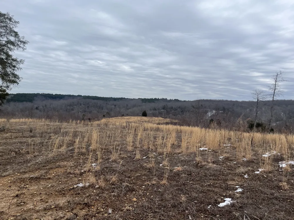 365 Twin Pines Overlook Lobelville, TN 37097