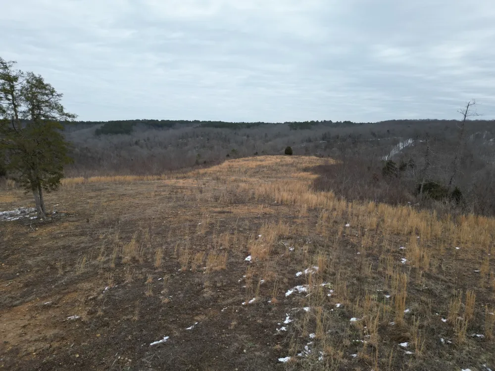 365 Twin Pines Overlook Lobelville, TN 37097