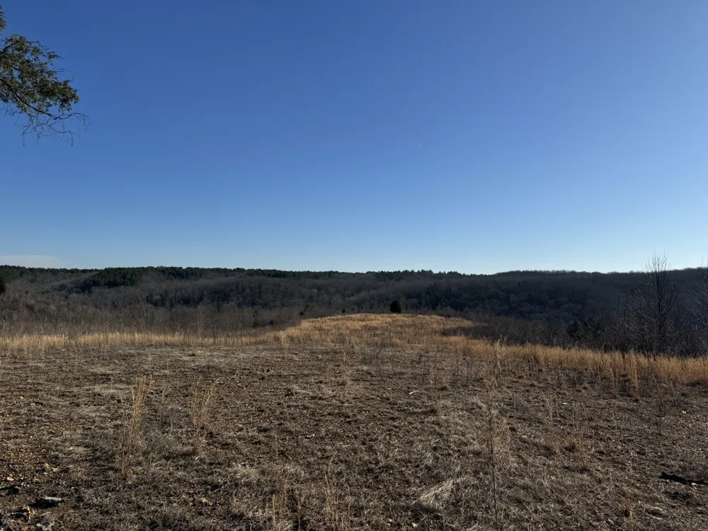 365 Twin Pines Overlook Lobelville, TN 37097