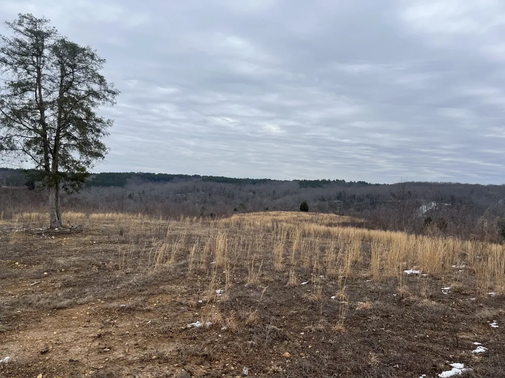 365 Twin Pines Overlook Lobelville, TN 37097