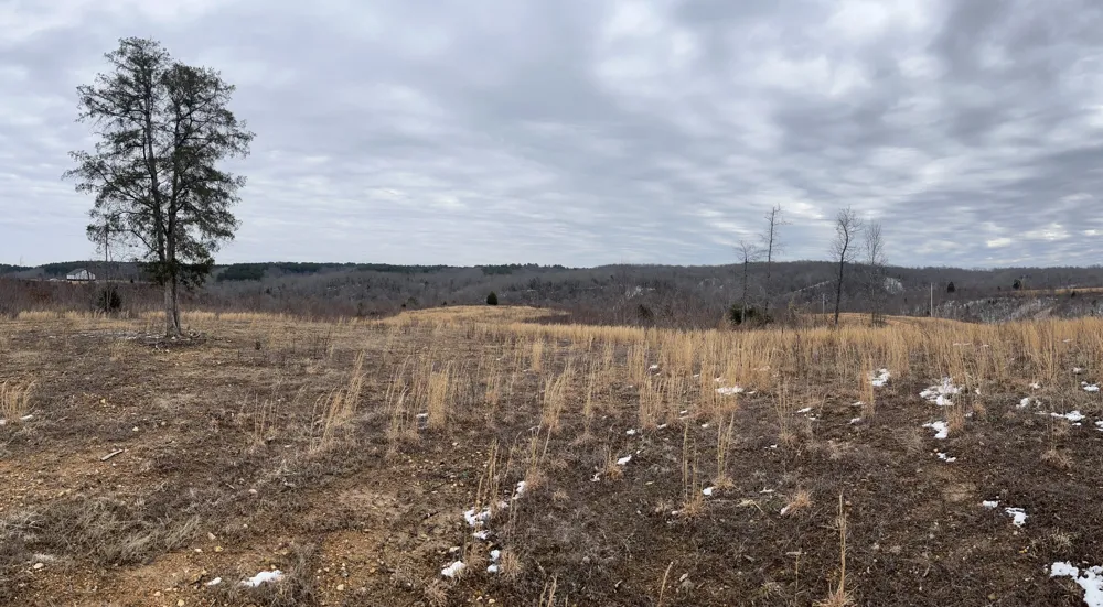 365 Twin Pines Overlook Lobelville, TN 37097