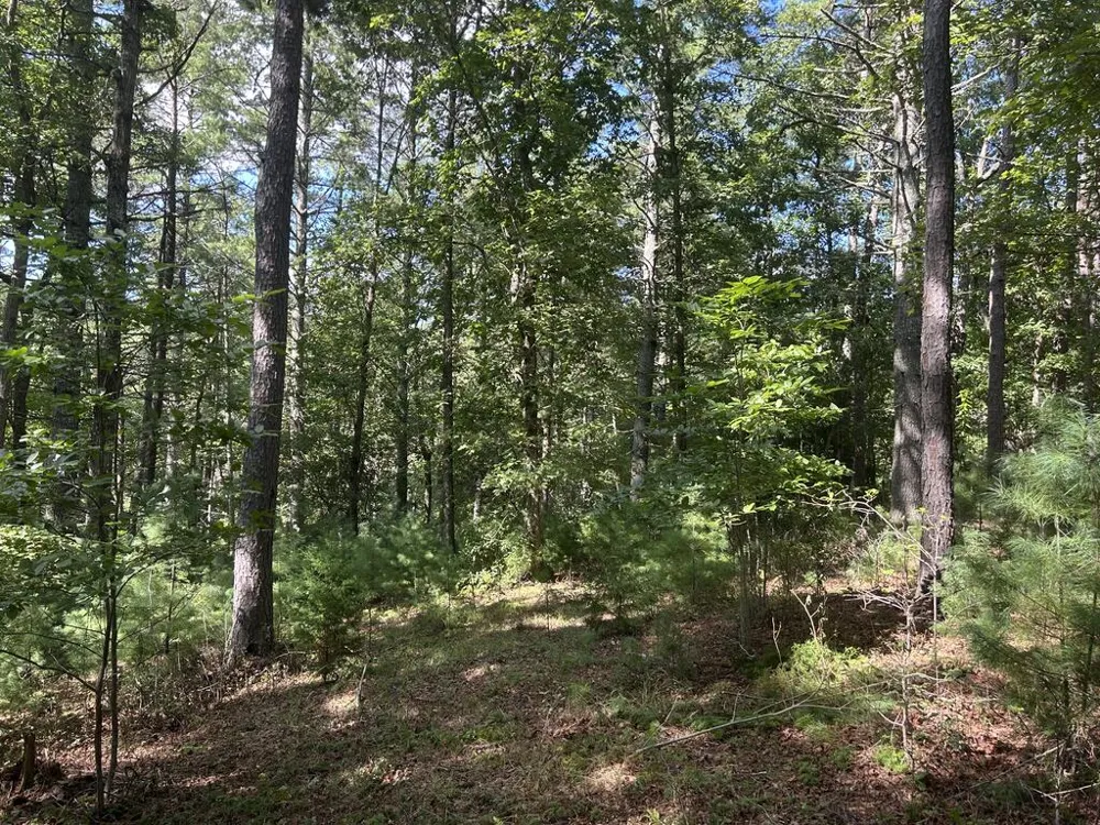 Lt 63 Harmony Way Morganton, GA 30560