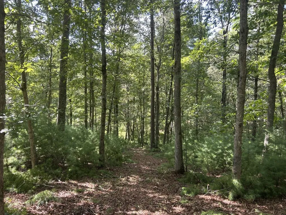 Lt 63 Harmony Way Morganton, GA 30560