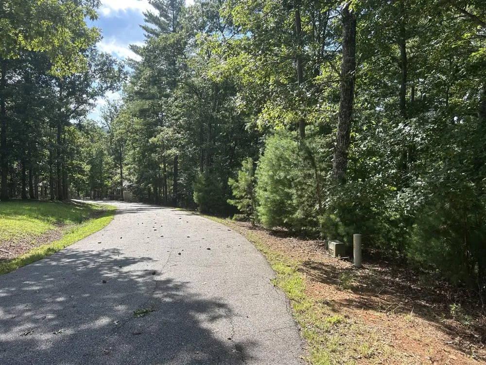 Lt 63 Harmony Way Morganton, GA 30560