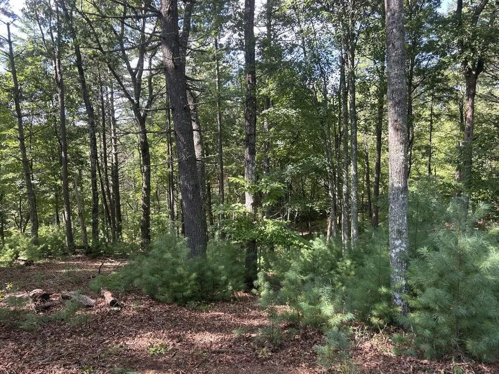 Lt 64 Harmony Way Morganton, GA 30560