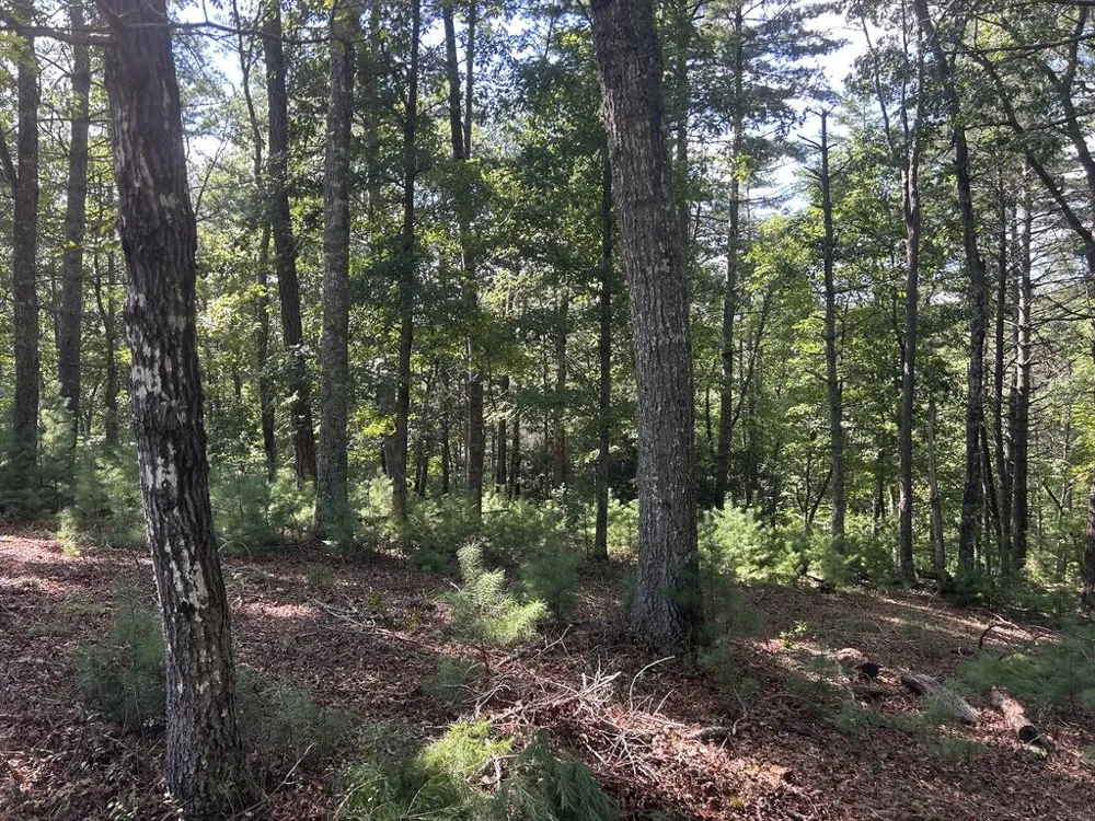 Lt 64 Harmony Way Morganton, GA 30560