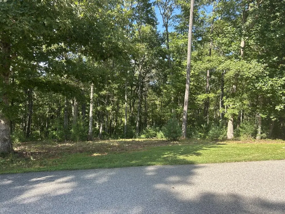 Lt 64 Harmony Way Morganton, GA 30560