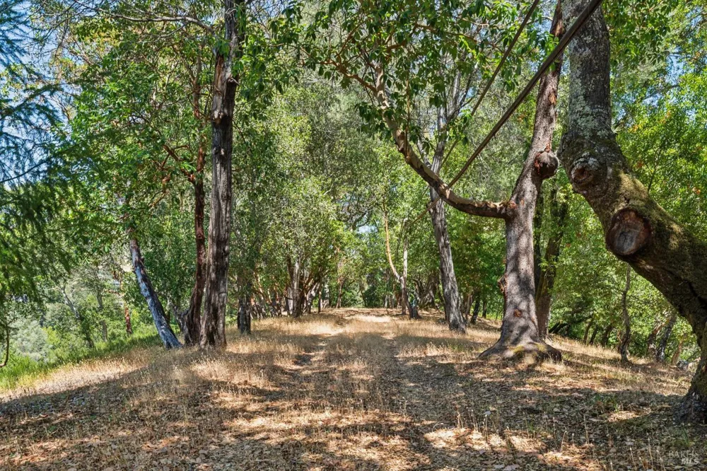 10 Fawn Ridge Fairfax, CA 94930