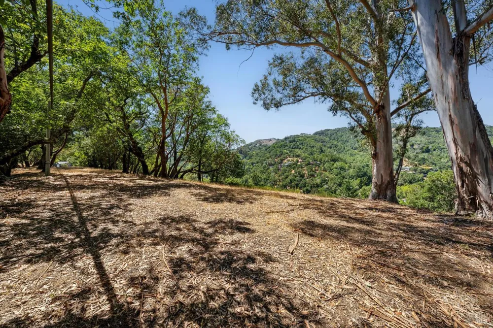 10 Fawn Ridge Fairfax, CA 94930