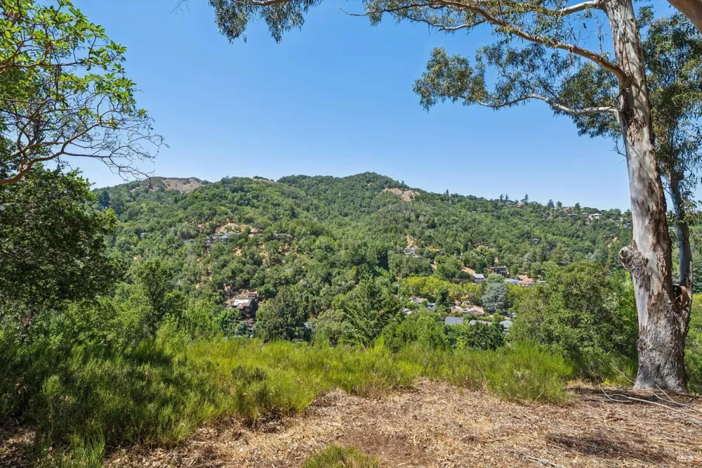 10 Fawn Ridge Fairfax, CA 94930