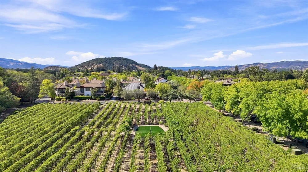 114 Vineyard Circle Yountville, CA 94599