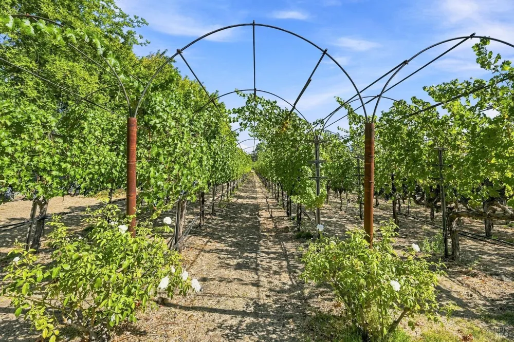 114 Vineyard Circle Yountville, CA 94599