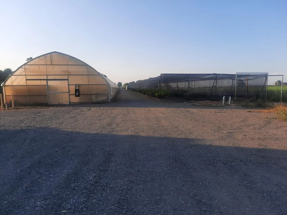 21208 State Highway 113 Knights Landing, CA 95645