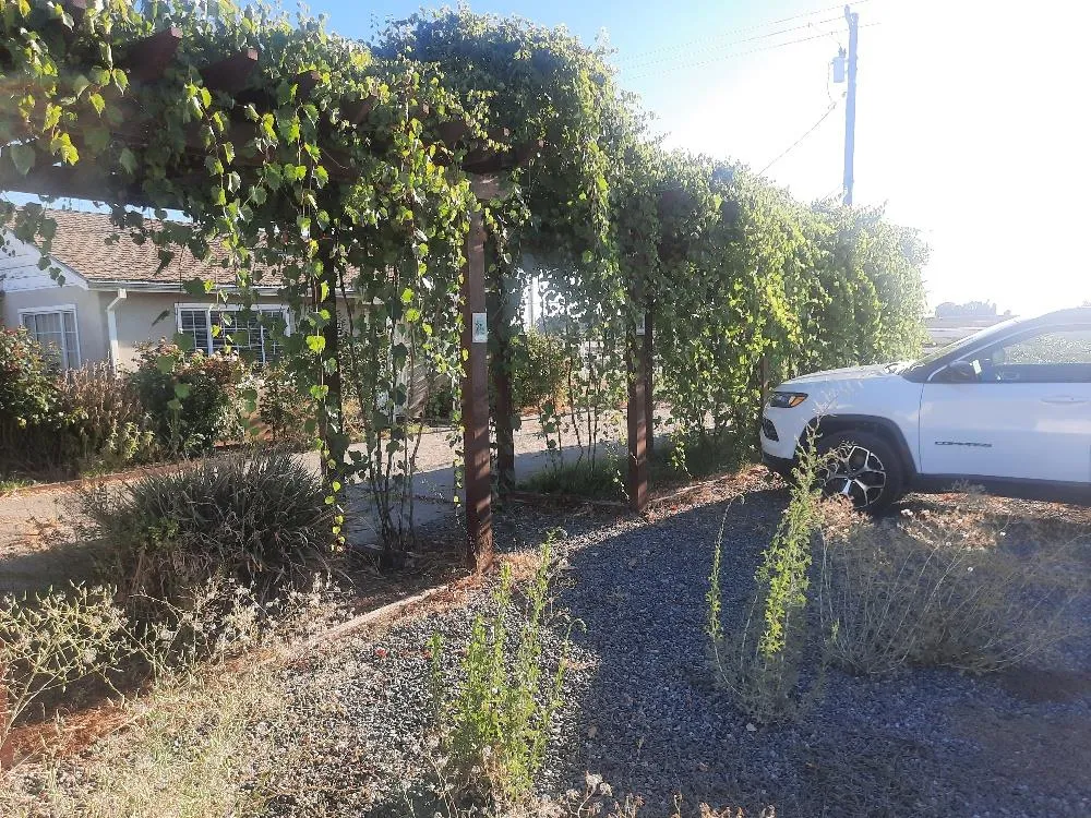 21208 State Highway 113 Knights Landing, CA 95645