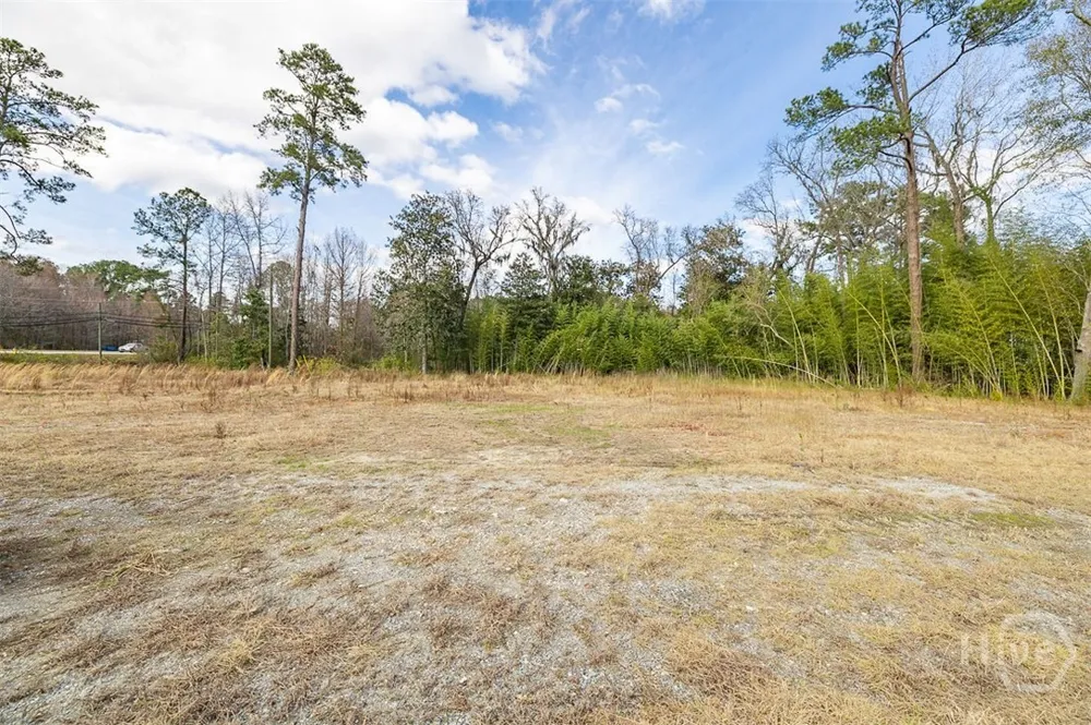 250 S Columbia Avenue Rincon, GA 31326