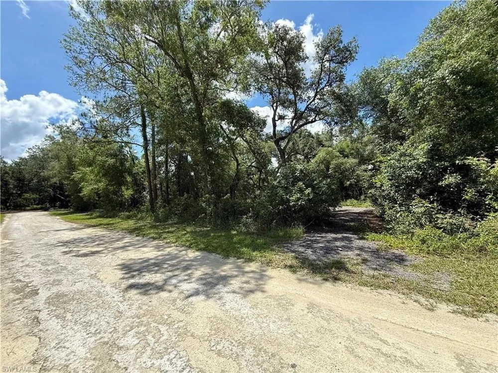 Long Circle Webster, FL 33597