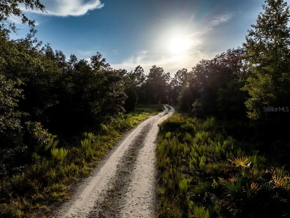 TBD NE 50TH LANE Williston, FL 32696