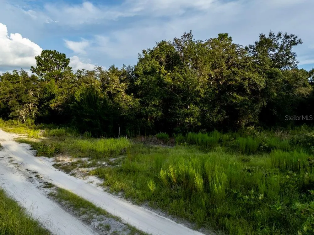 TBD NE 50TH LANE Williston, FL 32696