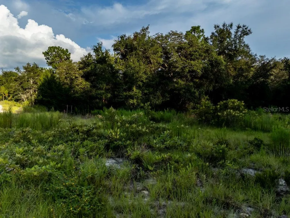 TBD NE 50TH LANE Williston, FL 32696