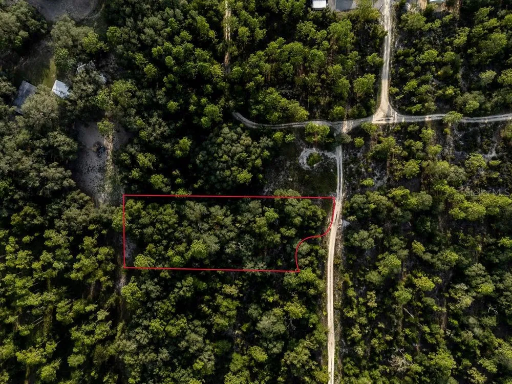TBD NE 50TH LANE Williston, FL 32696