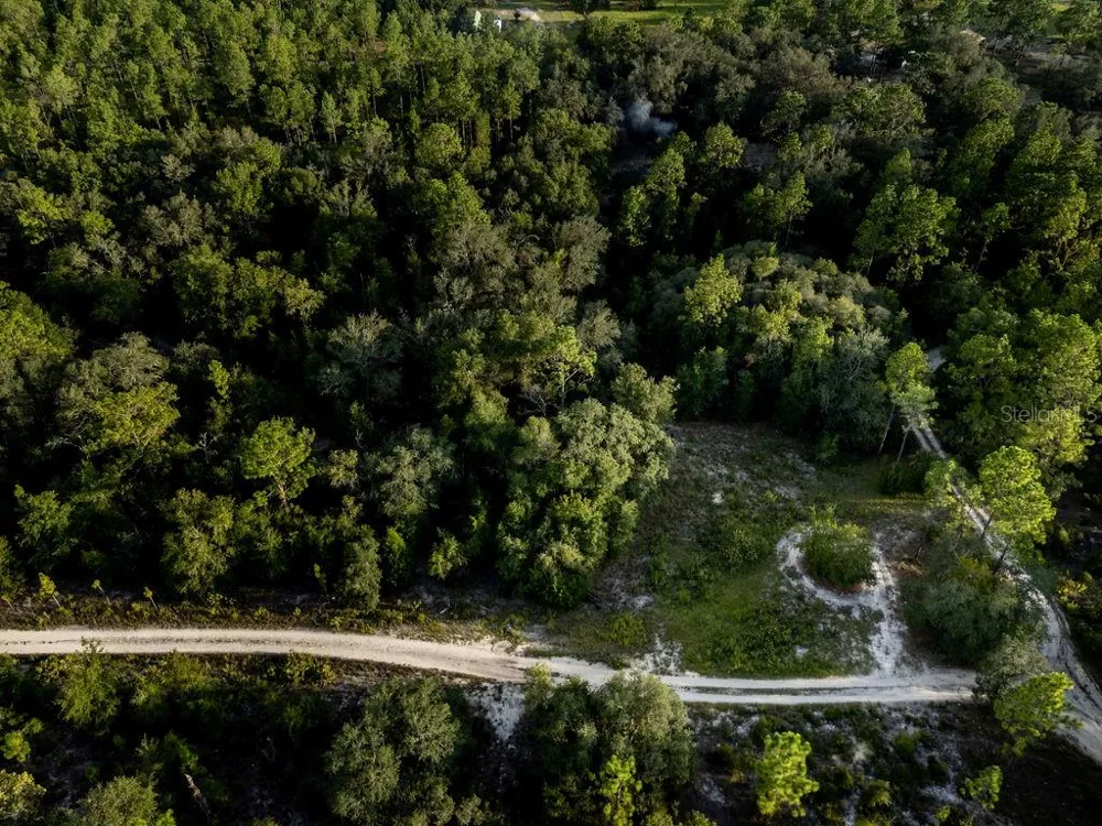 TBD NE 50TH LANE Williston, FL 32696