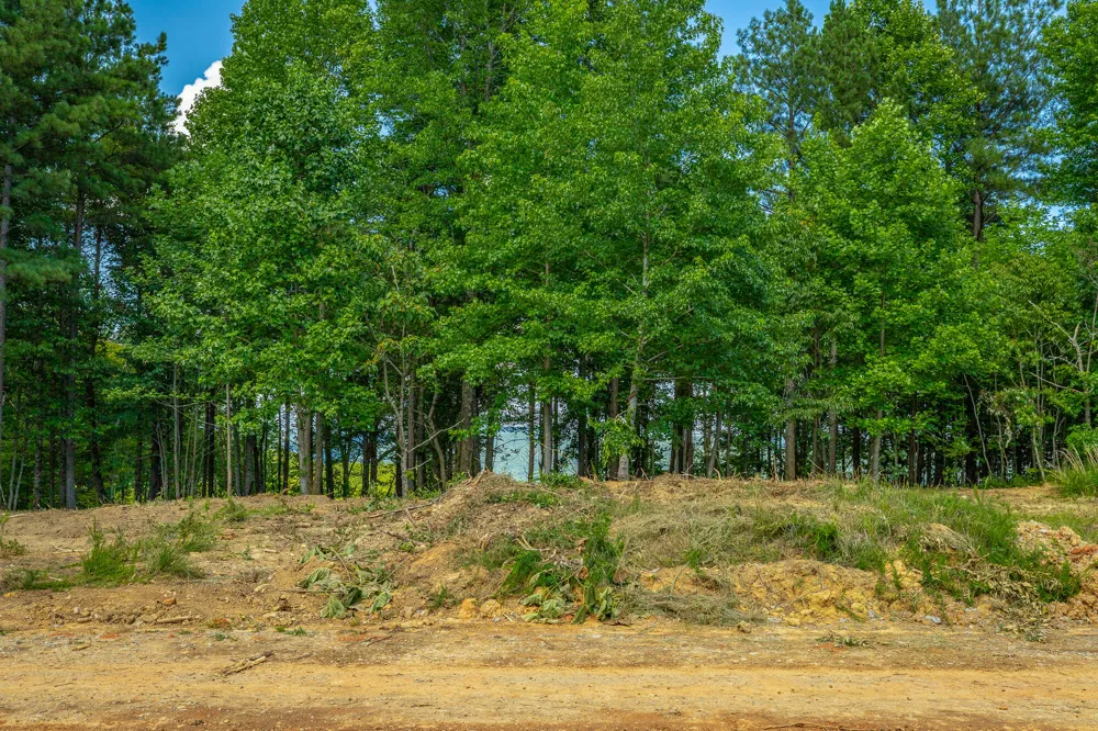 2222 High Ground Road Guild, TN 37340