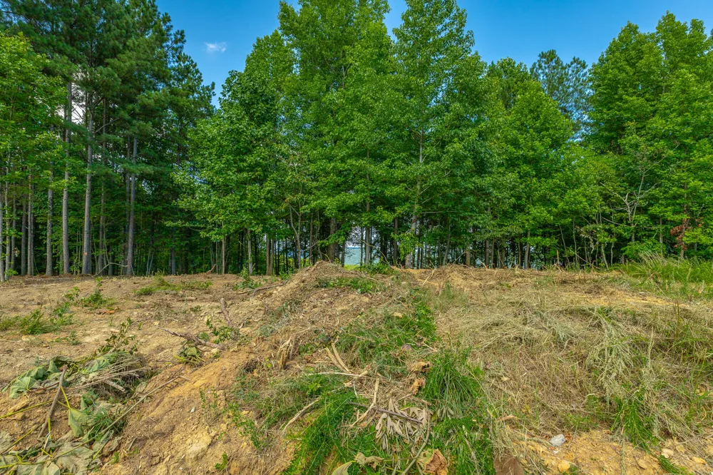 2222 High Ground Road Guild, TN 37340