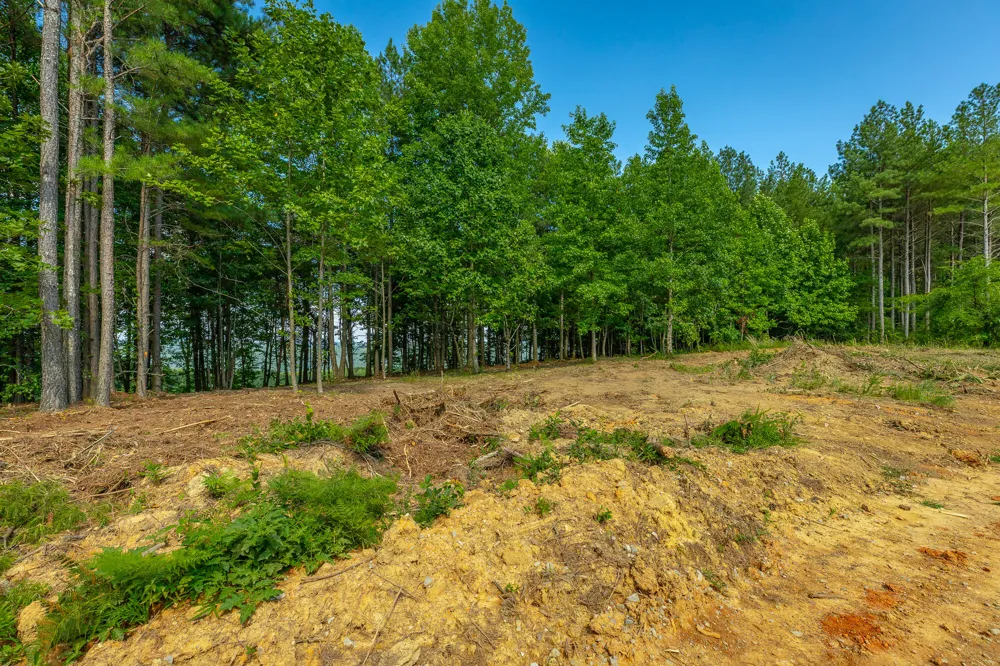 2222 High Ground Road Guild, TN 37340