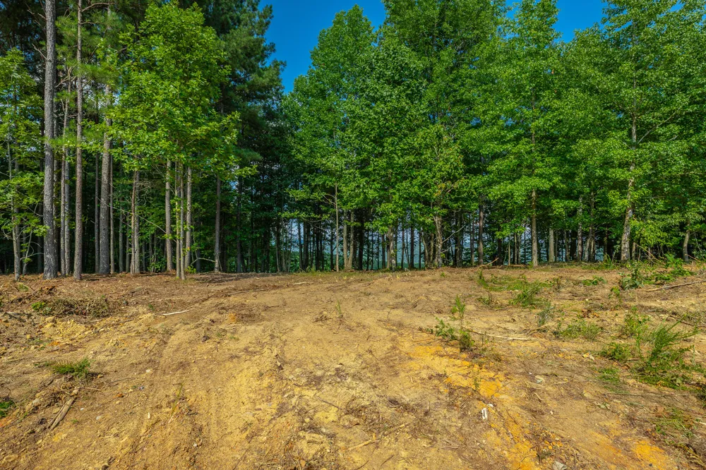2222 High Ground Road Guild, TN 37340