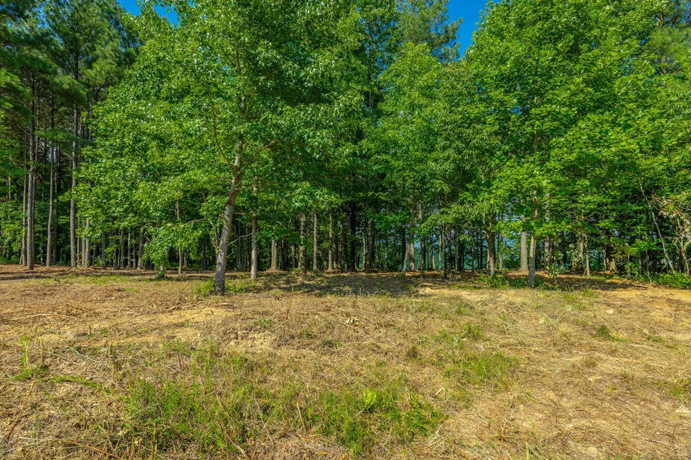2222 High Ground Road Guild, TN 37340