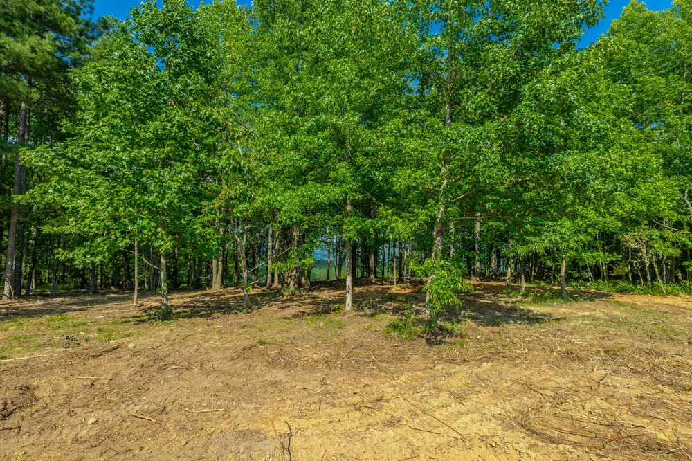 2222 High Ground Road Guild, TN 37340