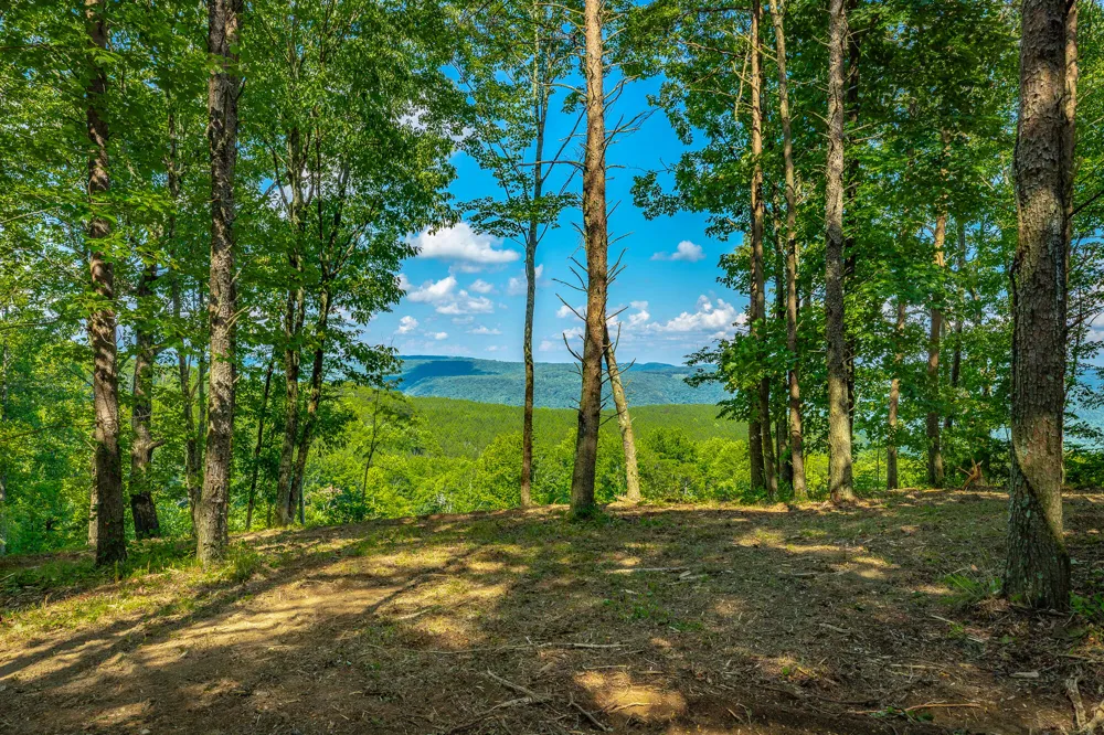 2222 High Ground Road Guild, TN 37340