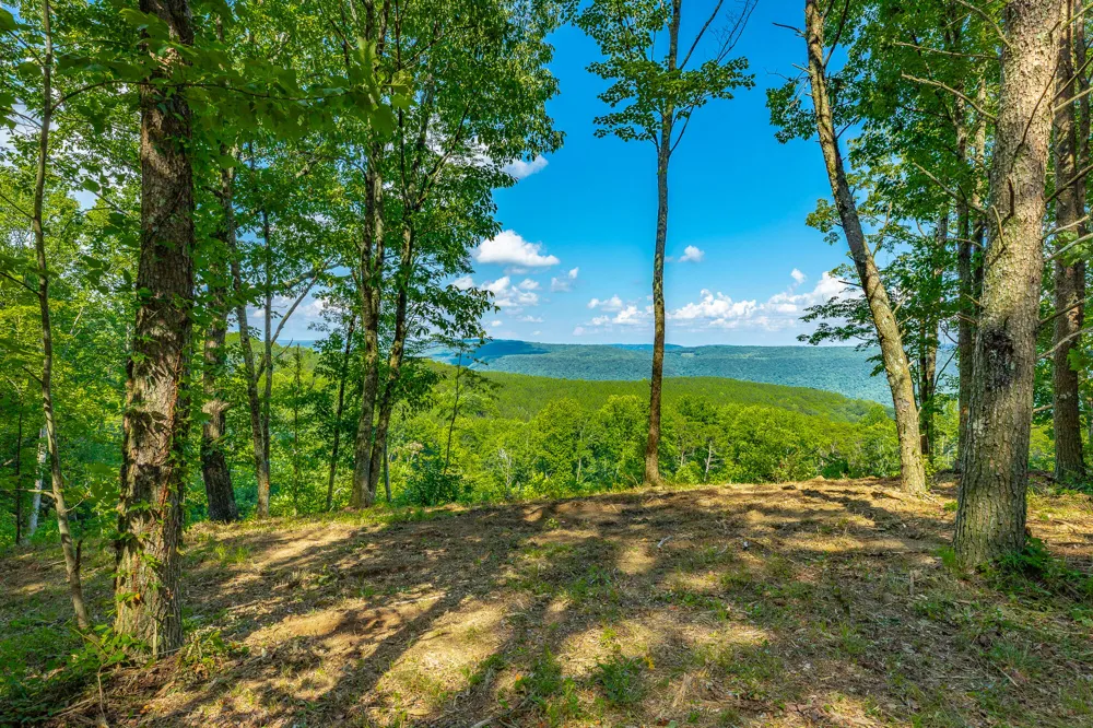 2222 High Ground Road Guild, TN 37340