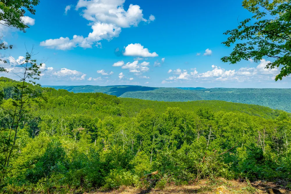 2222 High Ground Road Guild, TN 37340