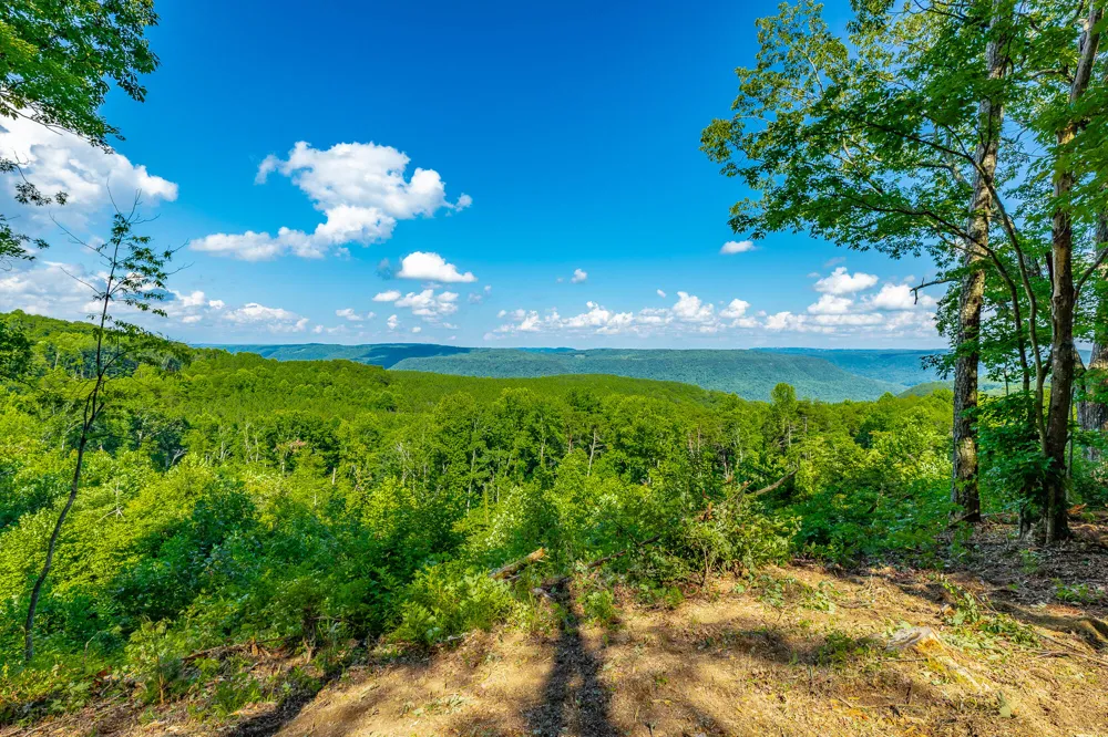 2222 High Ground Road Guild, TN 37340