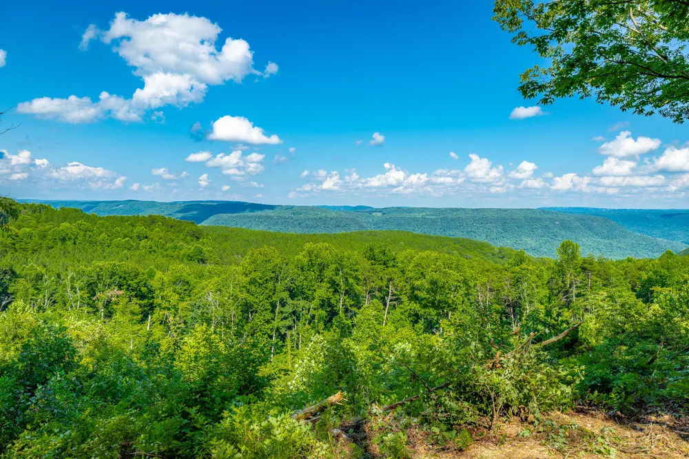 2222 High Ground Road Guild, TN 37340