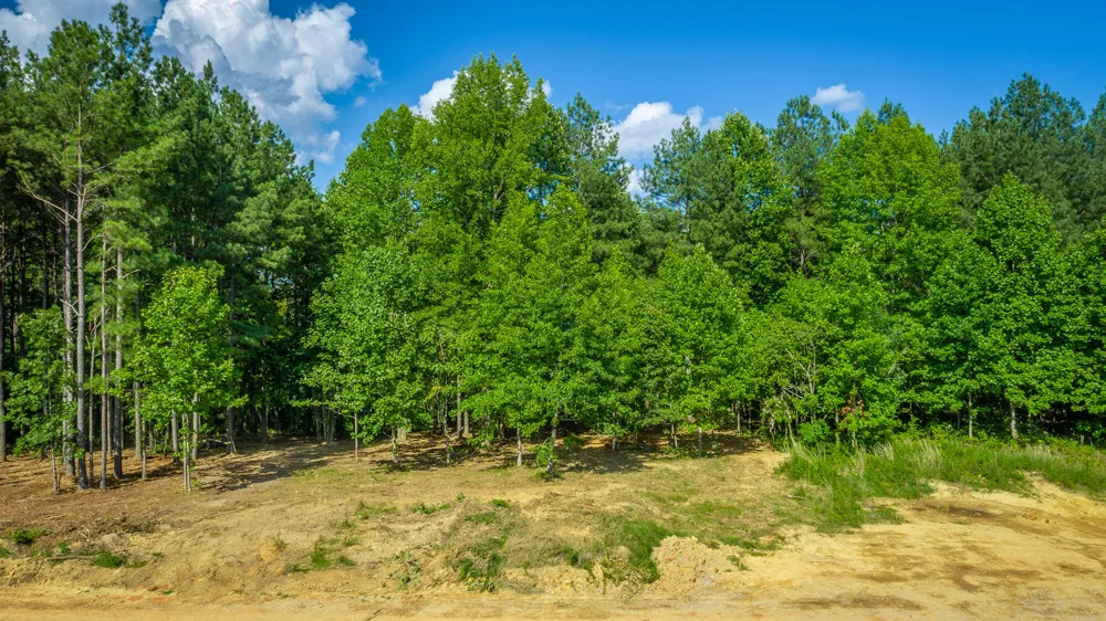 2222 High Ground Road Guild, TN 37340