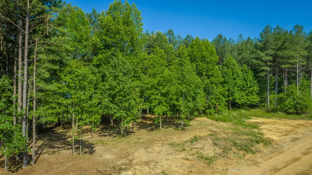 2222 High Ground Road Guild, TN 37340