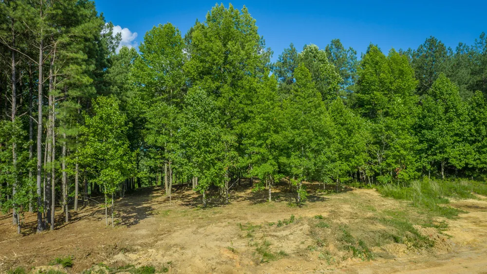 2222 High Ground Road Guild, TN 37340
