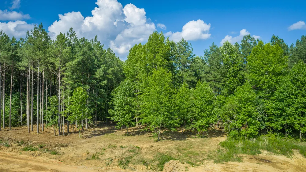 2222 High Ground Road Guild, TN 37340