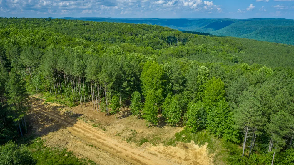 2222 High Ground Road Guild, TN 37340