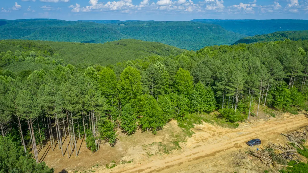 2222 High Ground Road Guild, TN 37340