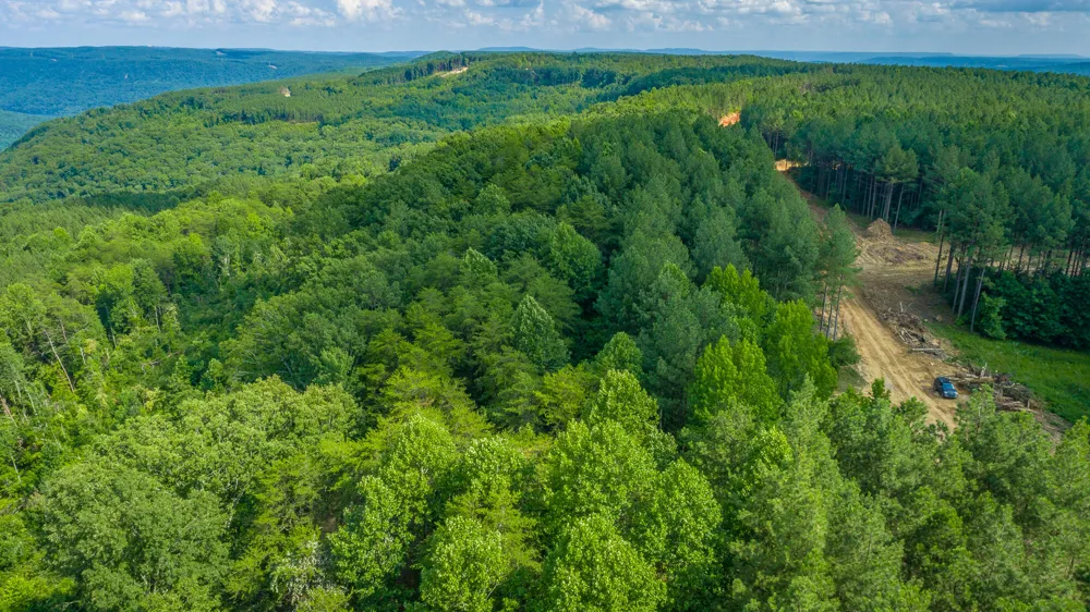 2222 High Ground Road Guild, TN 37340