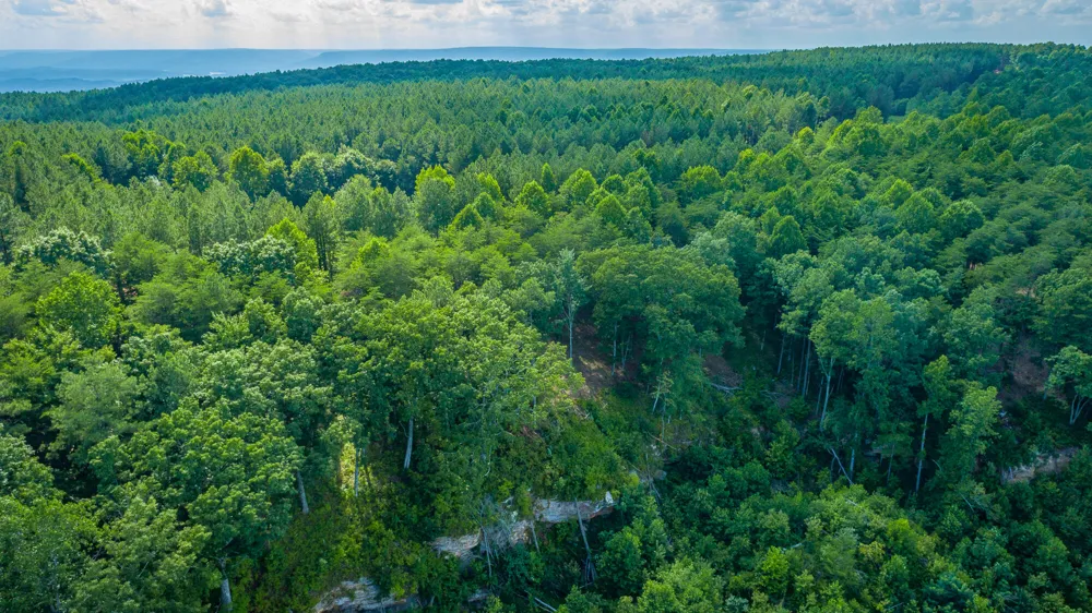 2222 High Ground Road Guild, TN 37340