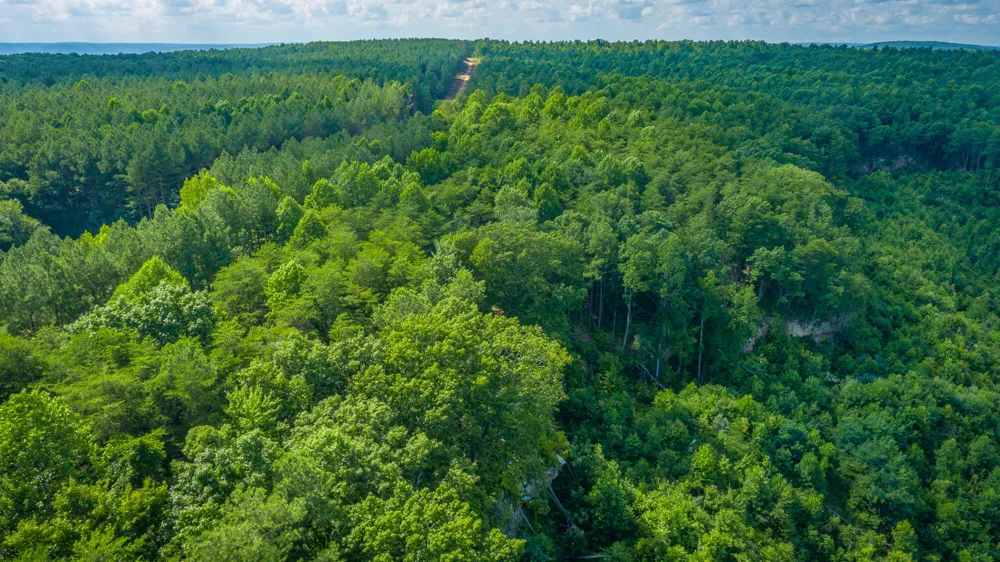 2222 High Ground Road Guild, TN 37340